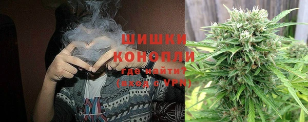 гашик Осташков