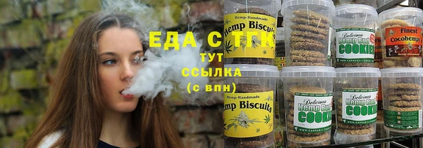 гашик Осташков