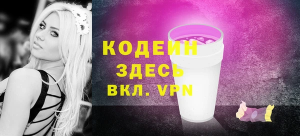 спиды Бикин