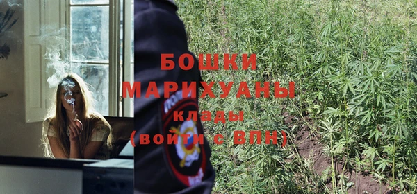 гашик Осташков
