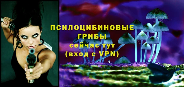 мет Нягань