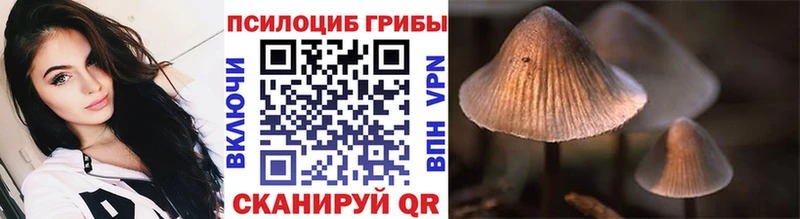 Псилоцибиновые грибы мицелий  Богородицк 