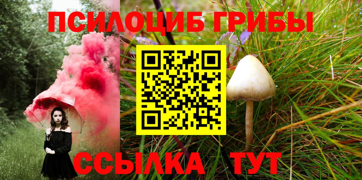 Галлюциногенные грибы мухоморы Богородицк