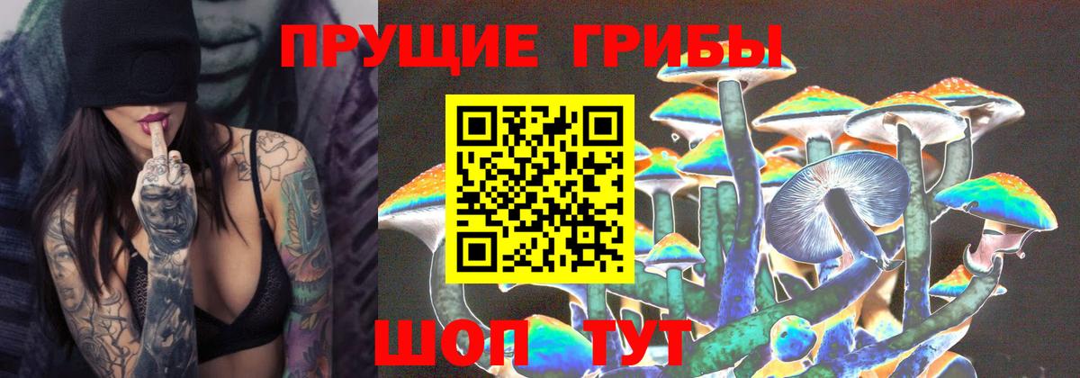 Галлюциногенные грибы мухоморы  Галлюциногенные грибы мухоморы  Богородицк  Вход с VPN 