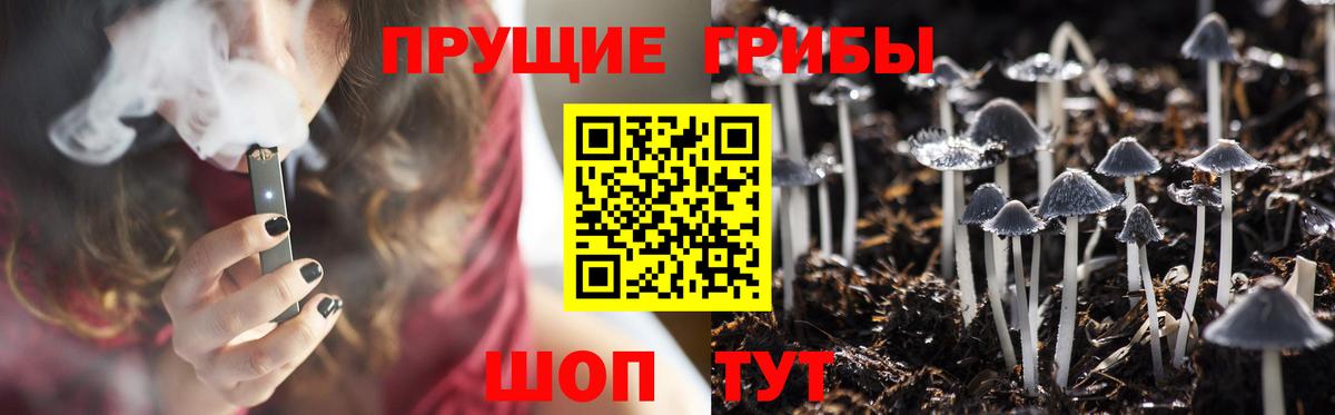 Псилоцибиновые грибы мухоморы  Богородицк 